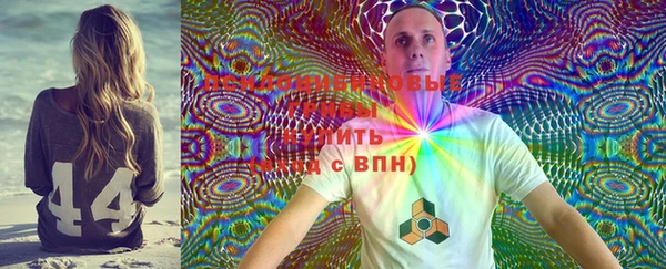соль ск Коряжма