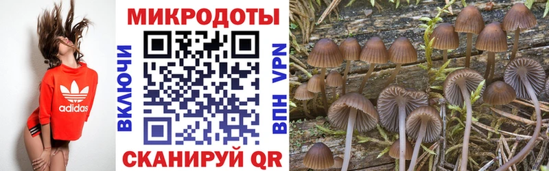 hydra   Шали  Псилоцибиновые грибы GOLDEN TEACHER  наркошоп 